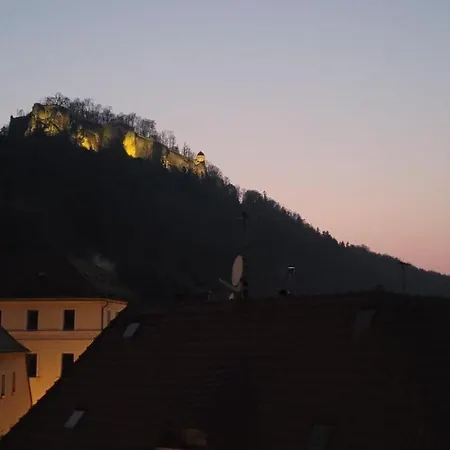 Festungsblick 公寓 *